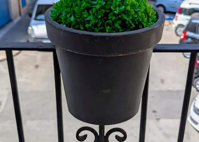 Casa Michelle Bisceglie